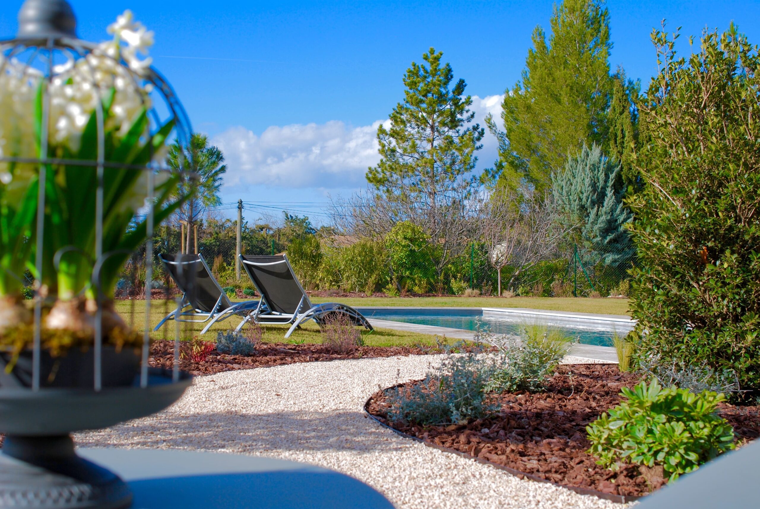 Brener Paysagiste Piscine jardin